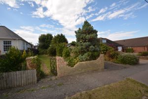 Photo 2- click for photo gallery